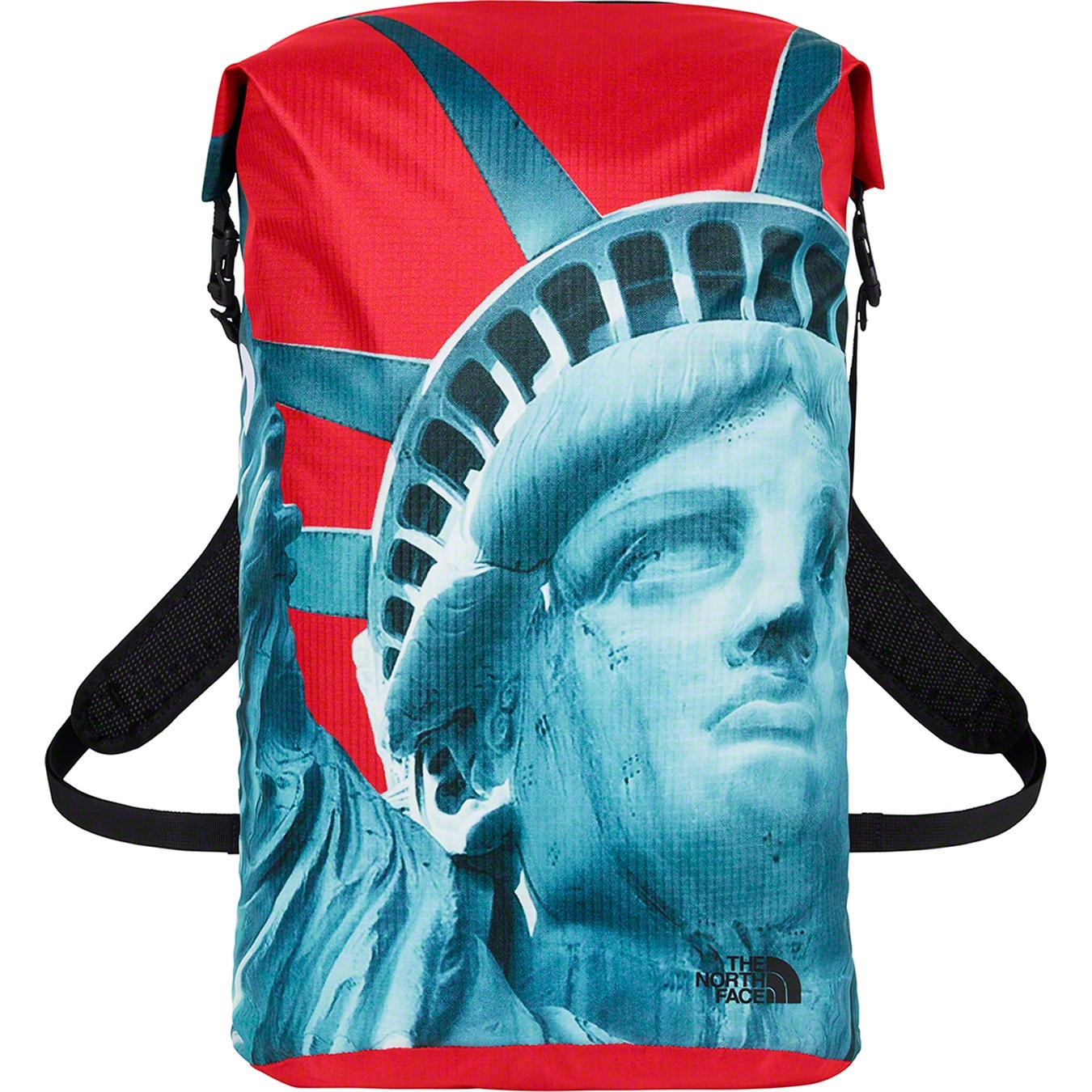 Supreme®/The North Face® Statue of Liberty Waterproof Backpack view 9